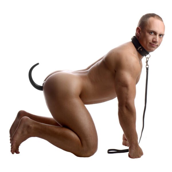 Sick Puppy Leash And Collar Kit - Image 2