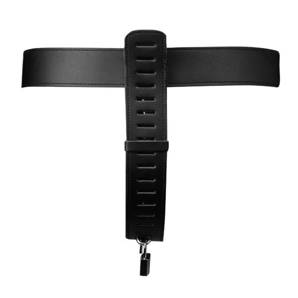 Adjustable Female Chastity Belt - Image 4