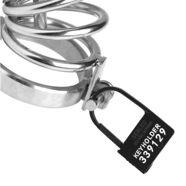 Keyholder 10 Pack Numbered Plastic Chastity Locks - Image 2