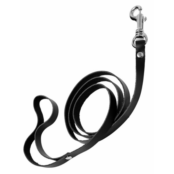 By The Balls Scrotum Stretching Kit With Leash - Image 5