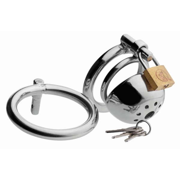 Solitary Extreme Confinement Cage - Image 2