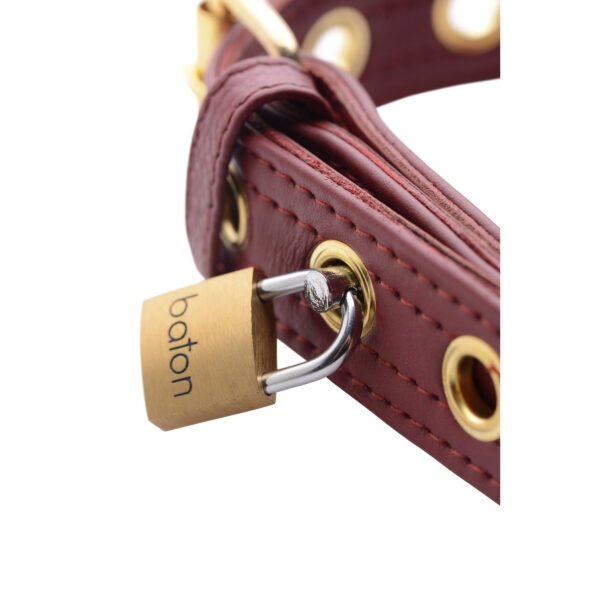 Strict Leather Luxury Locking Collar - Image 5