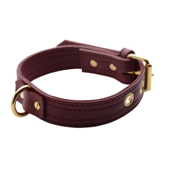 Strict Leather Luxury Locking Collar - Image 3