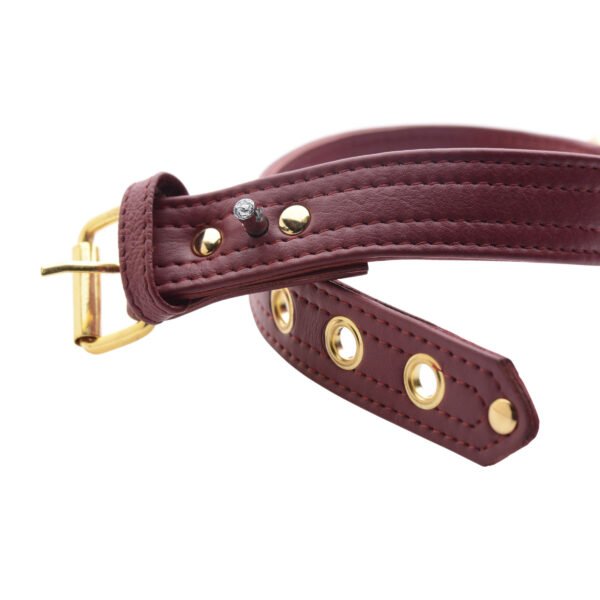 Strict Leather Luxury Locking Collar - Image 4