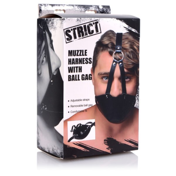 Mouth Harness With Ball Gag - Image 4