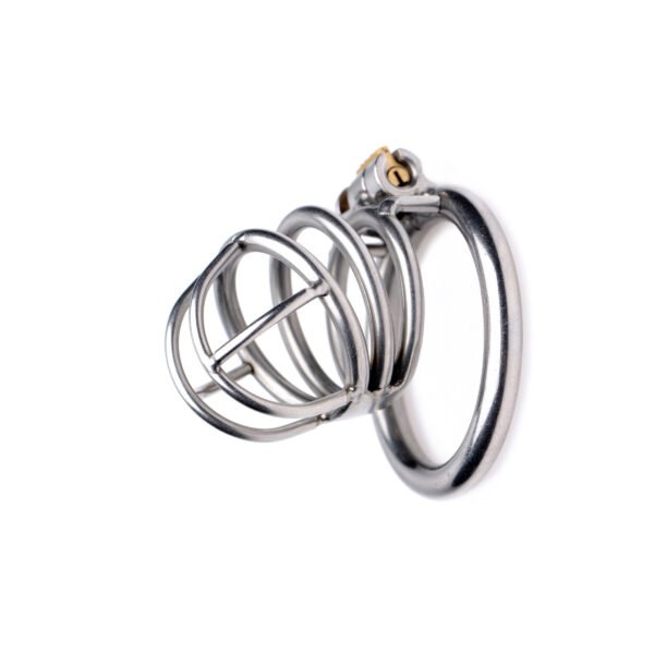 The Pen Deluxe Stainless Steel Locking Chastity Cage - Image 2