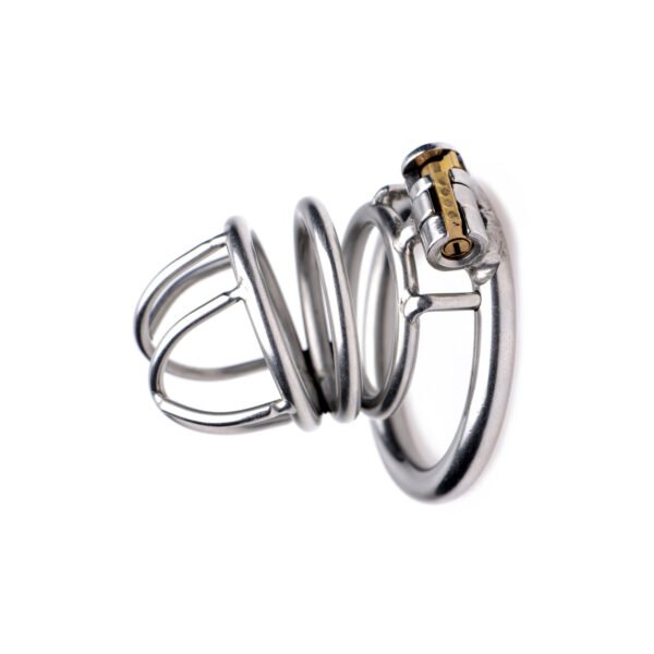 The Pen Deluxe Stainless Steel Locking Chastity Cage - Image 3