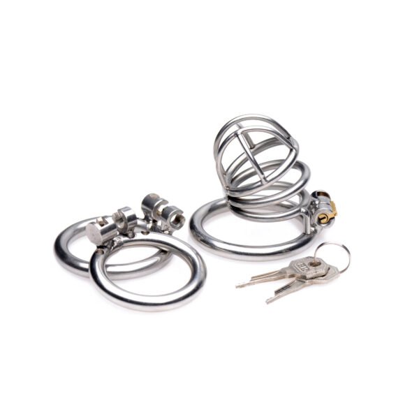 The Pen Deluxe Stainless Steel Locking Chastity Cage - Image 4