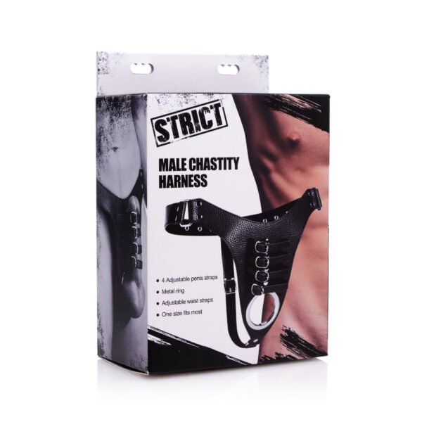 Male Chastity Harness - Image 4