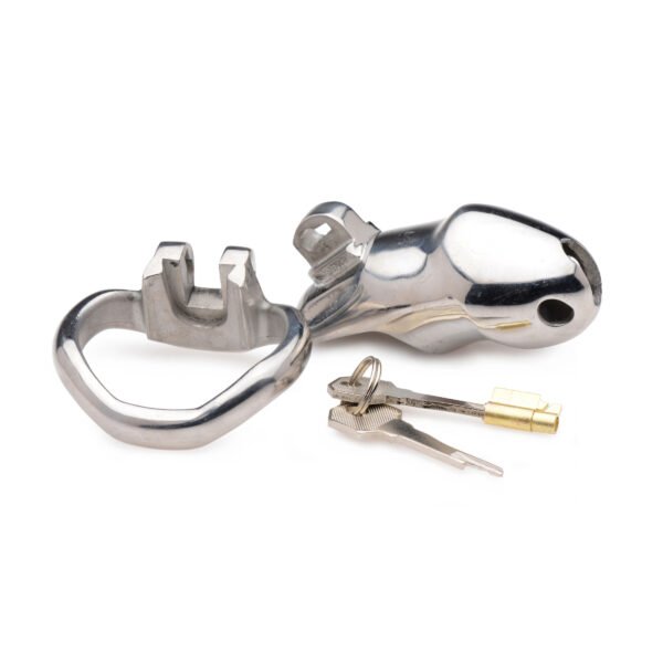 Rikers 24-7 Stainless Steel Locking Chastity Cage - Image 4