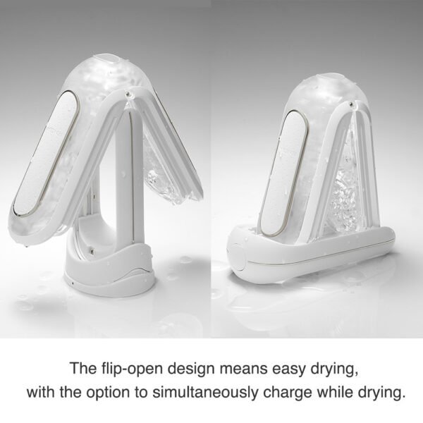 Flip 0-zero Electronic Vibration - Image 3