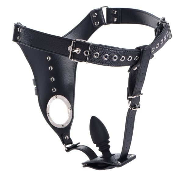 Male Chastity Harness With Silicone Anal Plug - Image 3