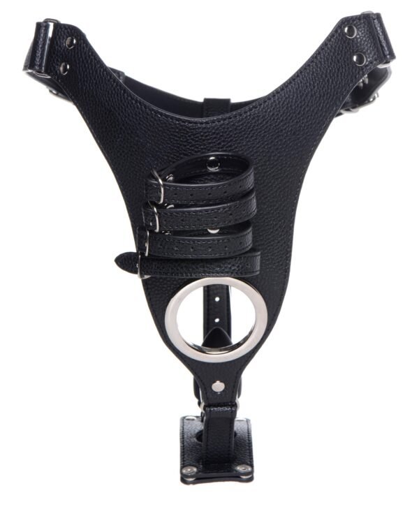 Male Chastity Harness With Silicone Anal Plug - Image 4