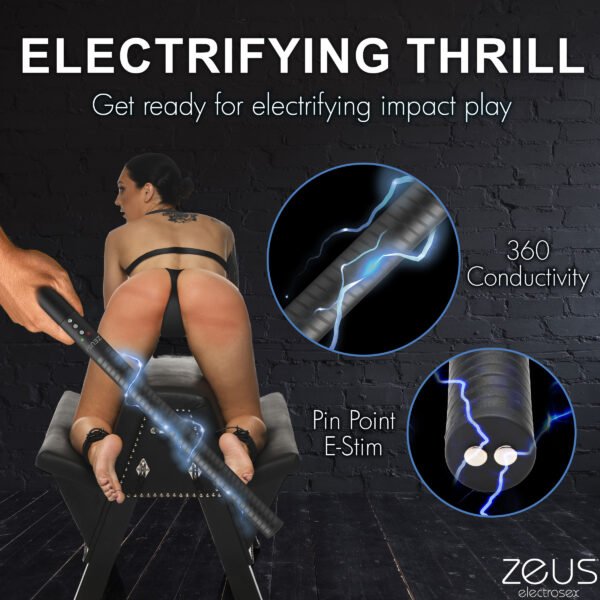 E-stim Baton - Image 3