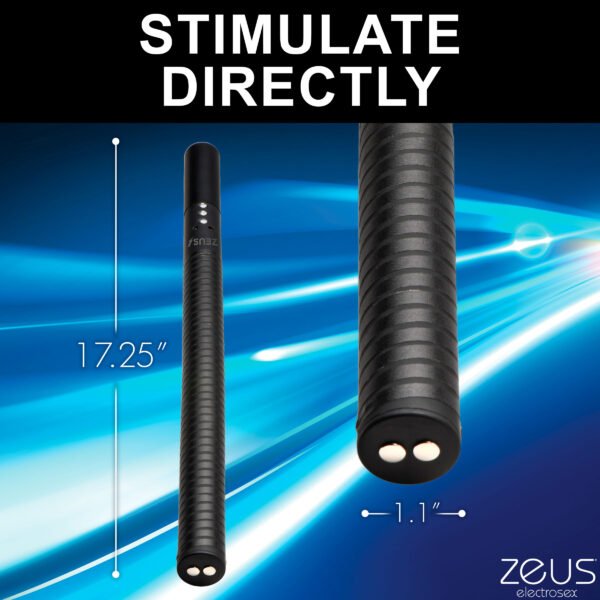 E-stim Baton - Image 8