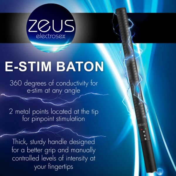 E-stim Baton - Image 11