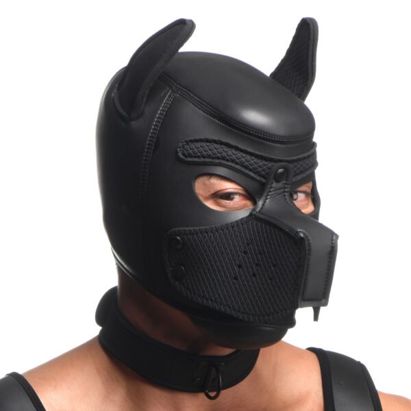 Full Pup Arsenal Set - Image 6