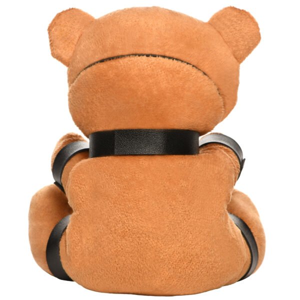 Gagged Bondage Teddy Bear - Image 5