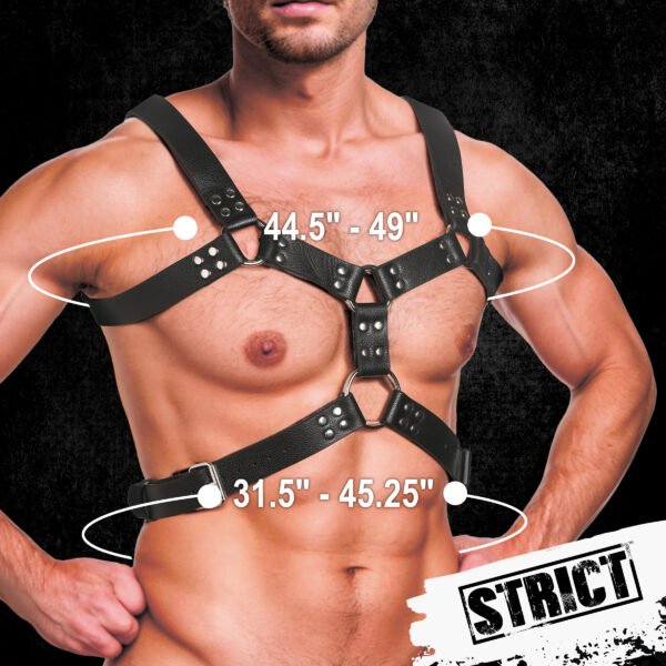 6 O-ring Chest Harness - Image 4