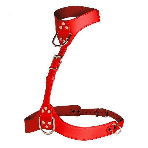 Vixen Female Chest Harness - Red - Image 7