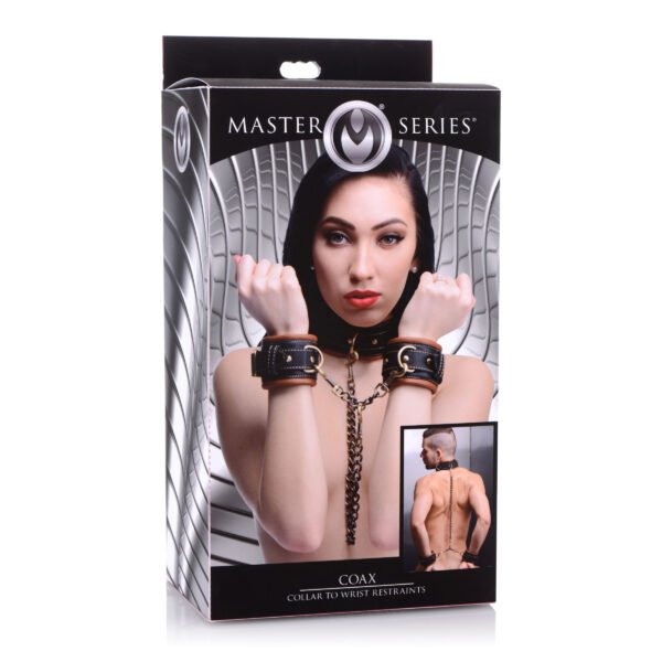 Coax Collar To Wrist Restraints - Image 6